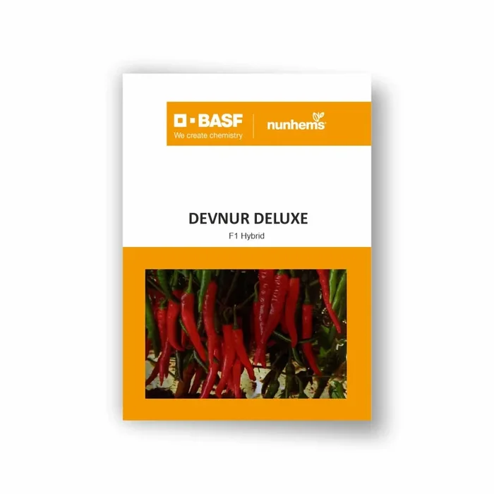 Devnur Deluxe Chilli Seeds – Early maturity, Traditional Byadgi, High Yield