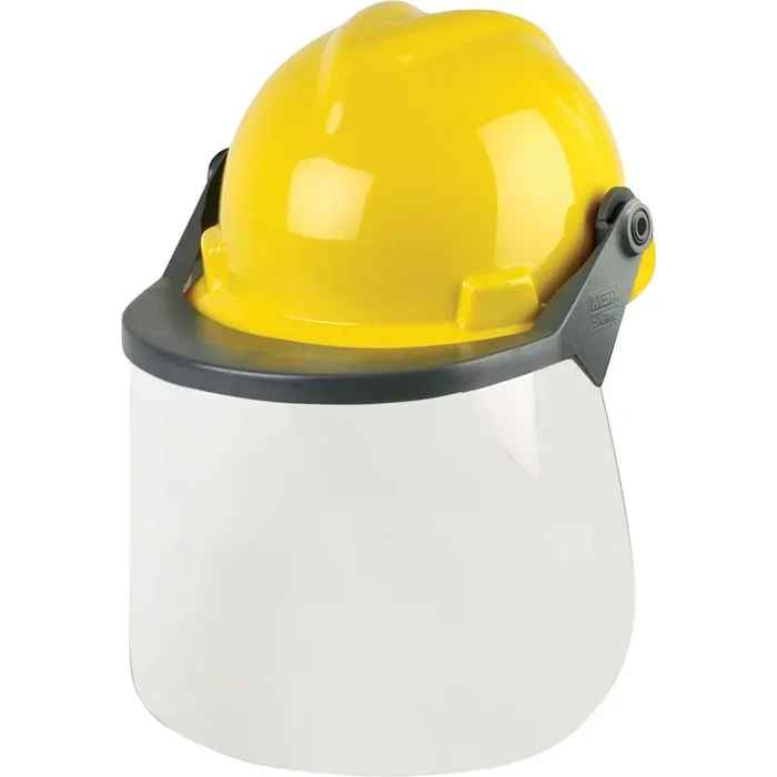 MSA Head & Face Protection System