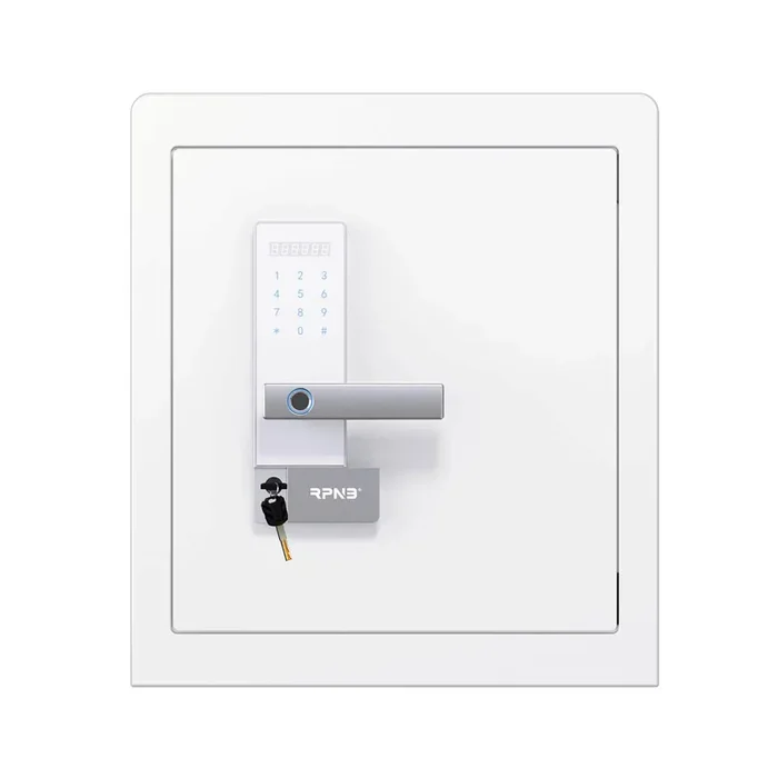 RPNB Biometric RPHS45W Home Safe