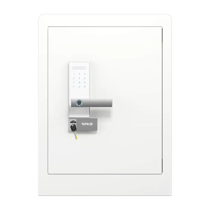 RPNB Biometric RPHS60W Home Safe